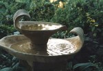 Leaf Fountain
