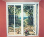 Portable Window